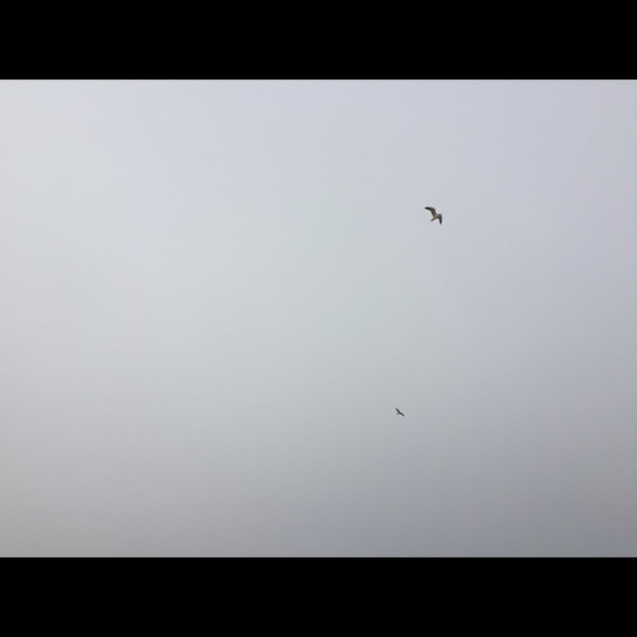 Meet your Posher, Trinity - Picture 1 of 1